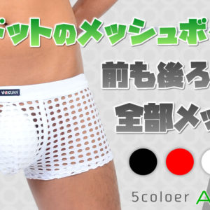 【ANQ】全部「丸見え！？」前も後ろも横も大きいドットのメッシュボクサーパンツ！